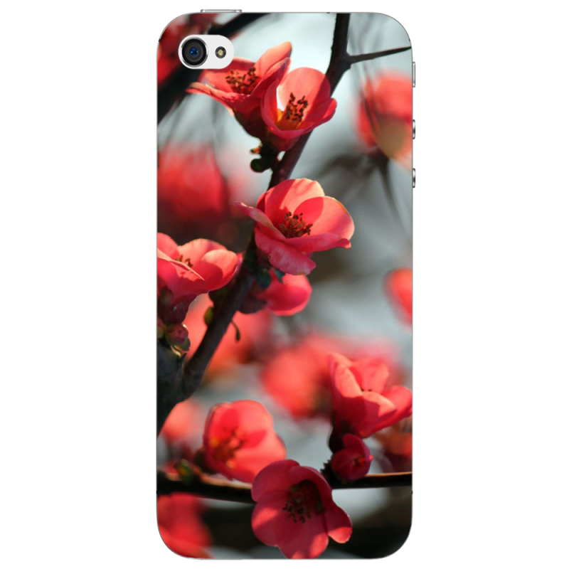 Чехол Uprint Apple iPhone 4 Awakening Spring