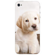 Чехол Uprint Apple iPhone 4 Puppy Labrador