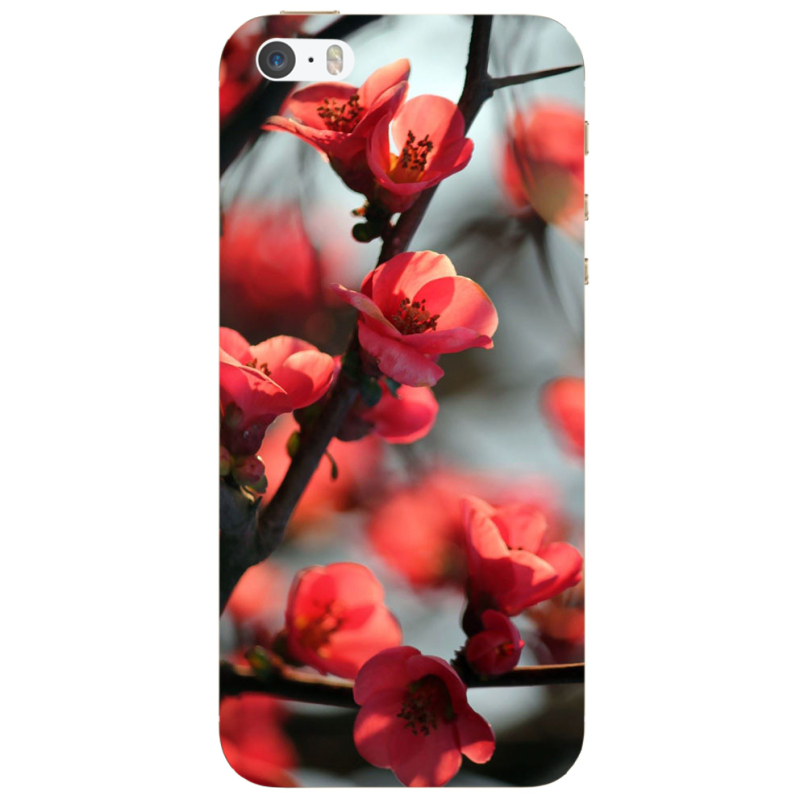 Чехол Uprint Apple iPhone 5 Awakening Spring