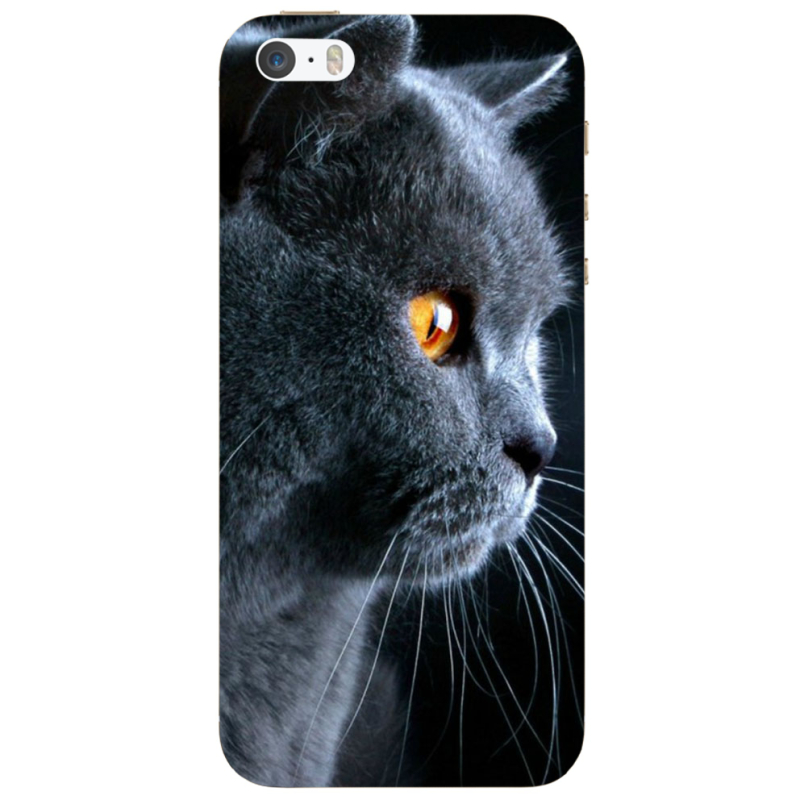 Чехол Uprint Apple iPhone 5 English cat