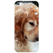 Чехол Uprint Apple iPhone 5 Golden Retriever