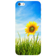 Чехол Uprint Apple iPhone 5 Sunflower Heaven