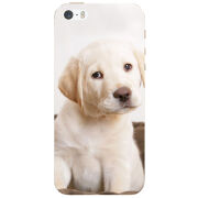 Чехол Uprint Apple iPhone 5 Puppy Labrador