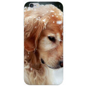 Чехол Uprint Apple iPhone 6 Golden Retriever