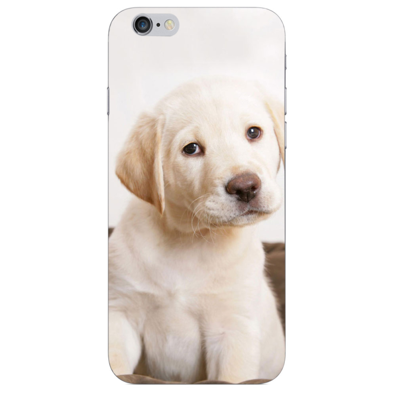 Чехол Uprint Apple iPhone 6 Puppy Labrador