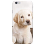 Чехол Uprint Apple iPhone 6 Puppy Labrador