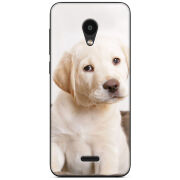 Чехол Uprint Meizu C9 Puppy Labrador