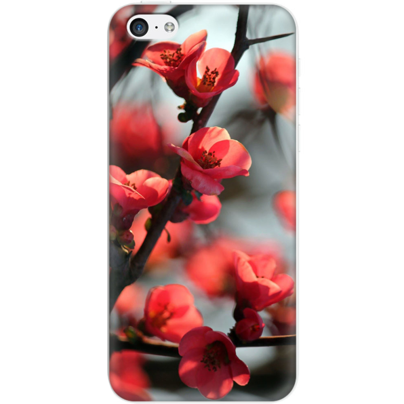 Чехол Uprint Apple iPhone 5C Awakening Spring