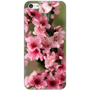 Чехол Uprint Apple iPhone 5C Вишневые Цветы