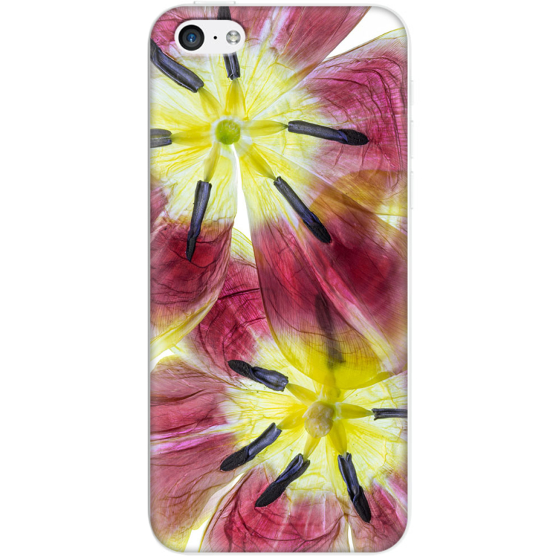 Чехол Uprint Apple iPhone 5C 