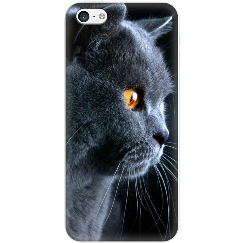 Чехол Uprint Apple iPhone 5C English cat