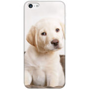 Чехол Uprint Apple iPhone 5C Puppy Labrador