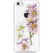 Прозрачный чехол Uprint Apple iPhone 5С Cherry Blossom