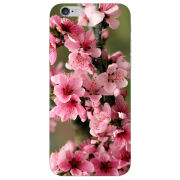 Чехол Uprint Apple iPhone 6 Plus Вишневые Цветы