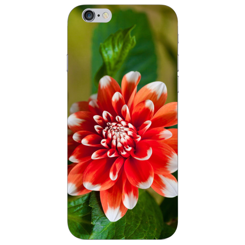 Чехол Uprint Apple iPhone 6 Plus 