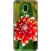 Чехол Uprint Meizu 16X 