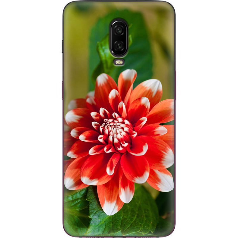 Чехол Uprint OnePlus 6T 