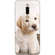 Чехол Uprint Meizu M8 Puppy Labrador