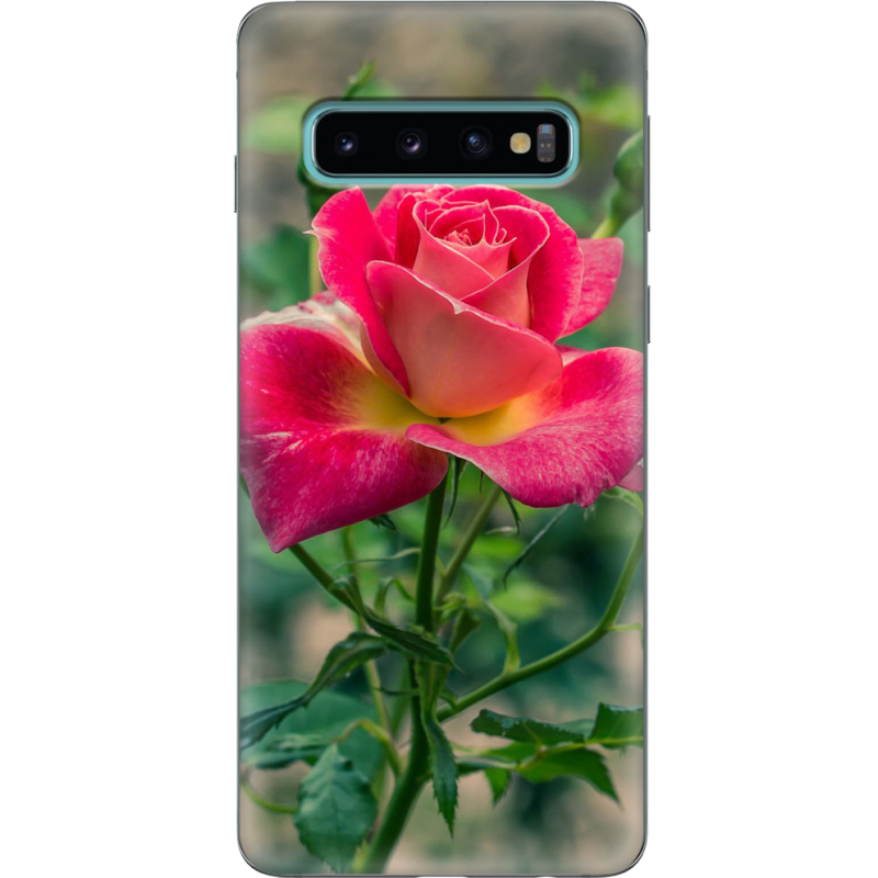 Чехол Uprint Samsung G973 Galaxy S10 