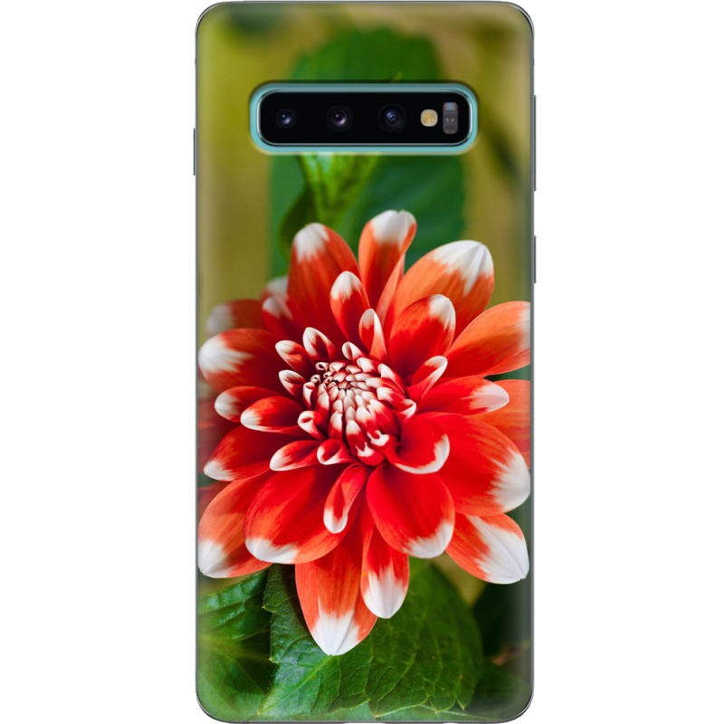 Чехол Uprint Samsung G973 Galaxy S10 