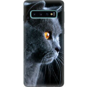 Чехол Uprint Samsung G973 Galaxy S10 English cat