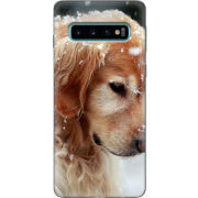 Чехол Uprint Samsung G973 Galaxy S10 Golden Retriever