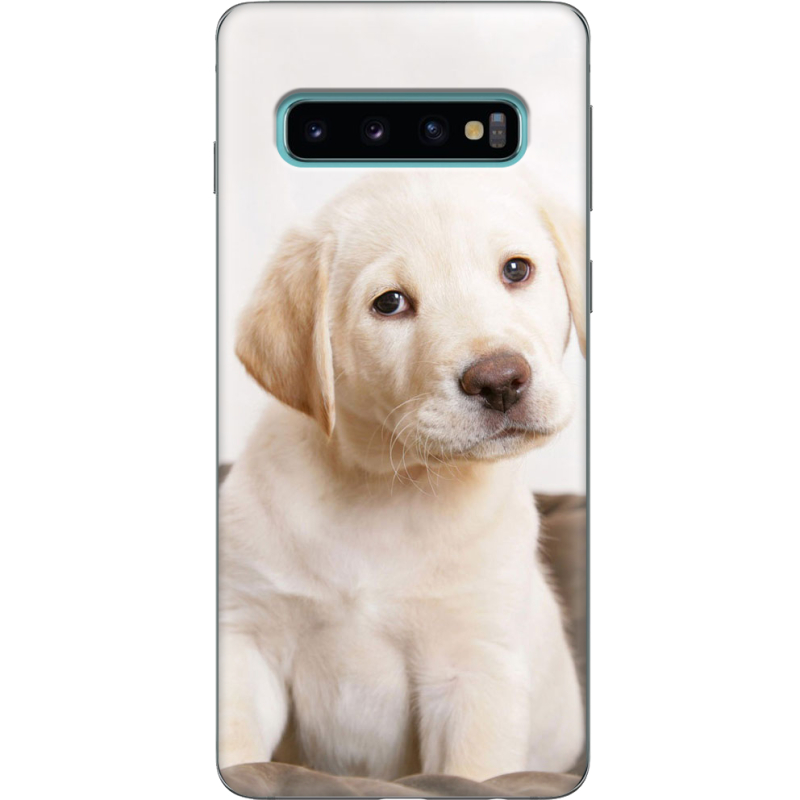 Чехол Uprint Samsung G973 Galaxy S10 Puppy Labrador