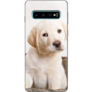 Чехол Uprint Samsung G973 Galaxy S10 Puppy Labrador