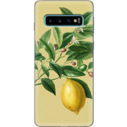 Чехол Uprint Samsung G973 Galaxy S10 