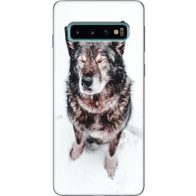 Чехол Uprint Samsung G973 Galaxy S10 