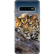 Чехол Uprint Samsung G973 Galaxy S10 