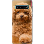 Чехол Uprint Samsung G973 Galaxy S10 