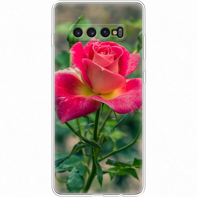 Чехол Uprint Samsung G975 Galaxy S10 Plus 