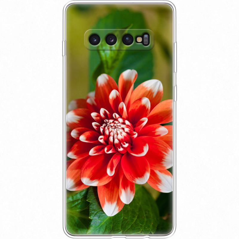 Чехол Uprint Samsung G975 Galaxy S10 Plus 