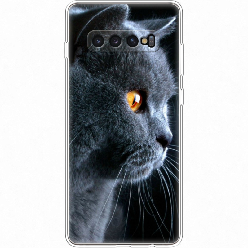 Чехол Uprint Samsung G975 Galaxy S10 Plus English cat