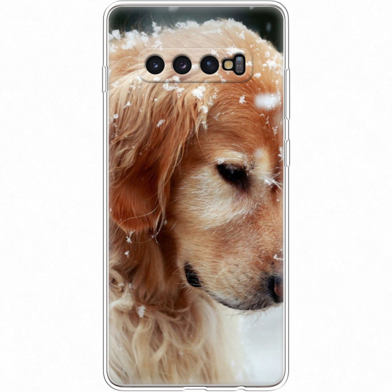 Чехол Uprint Samsung G975 Galaxy S10 Plus Golden Retriever