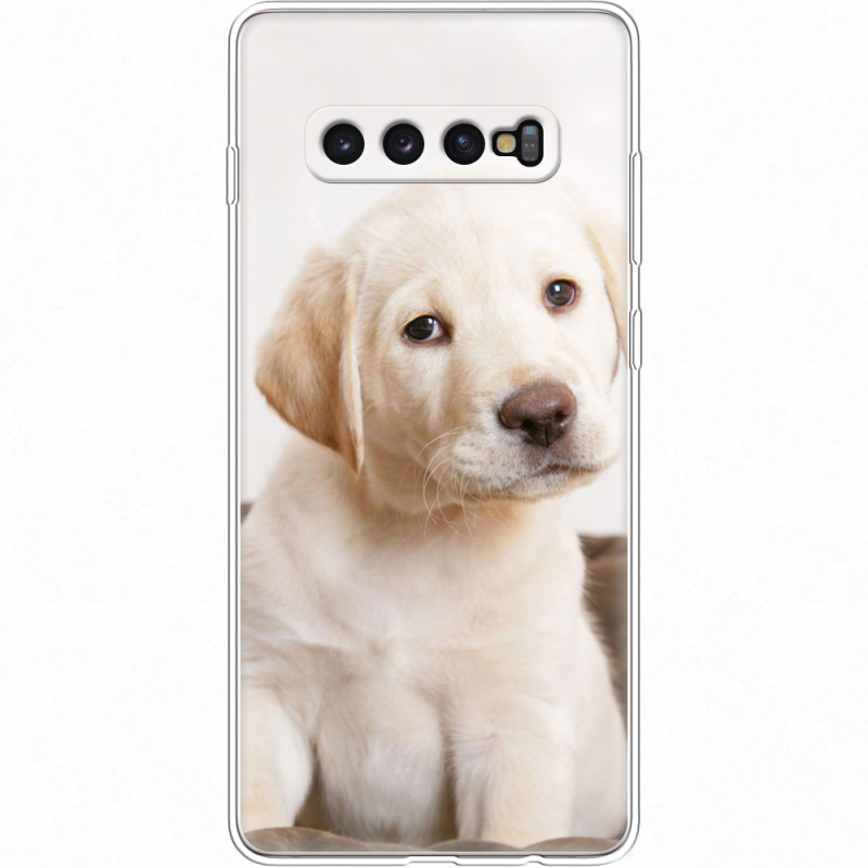 Чехол Uprint Samsung G975 Galaxy S10 Plus Puppy Labrador