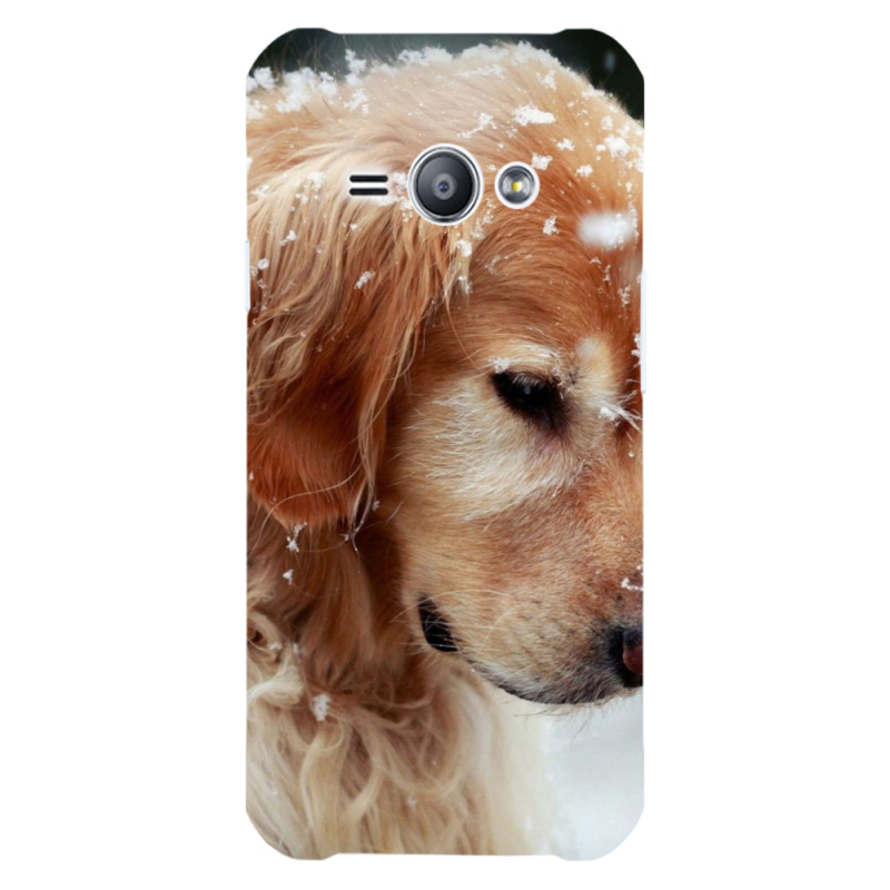 Чехол Uprint Samsung J110 Galaxy J1 Ace Golden Retriever