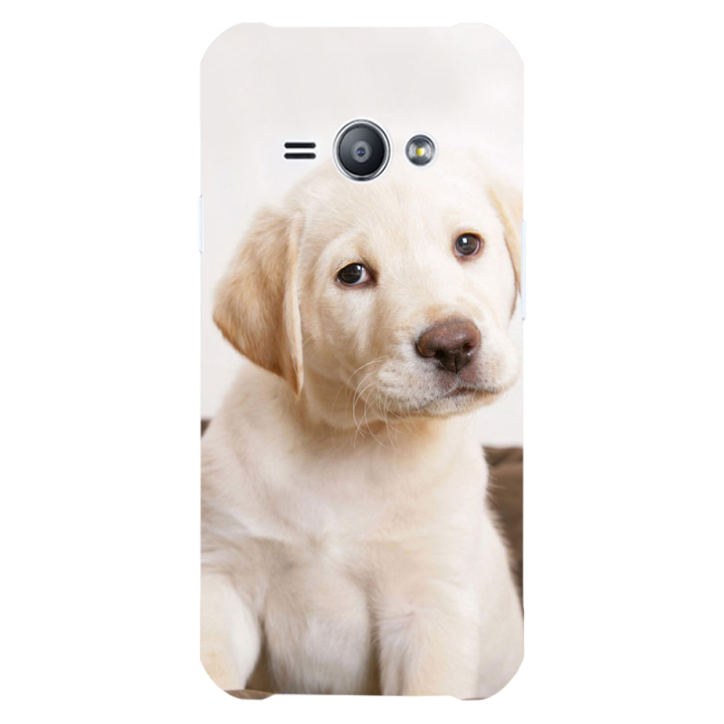 Чехол Uprint Samsung J110 Galaxy J1 Ace Puppy Labrador