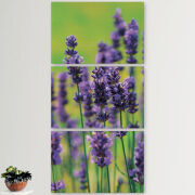 Модульные картины горизонтальные  60 на 40 3шт Green Lavender
