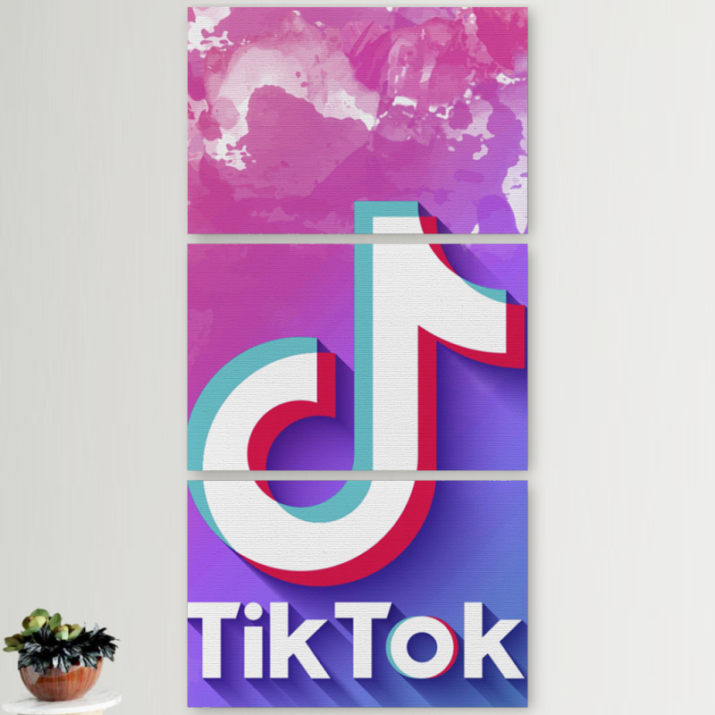 Модульные картины горизонтальные  60 на 40 3шт TikTok