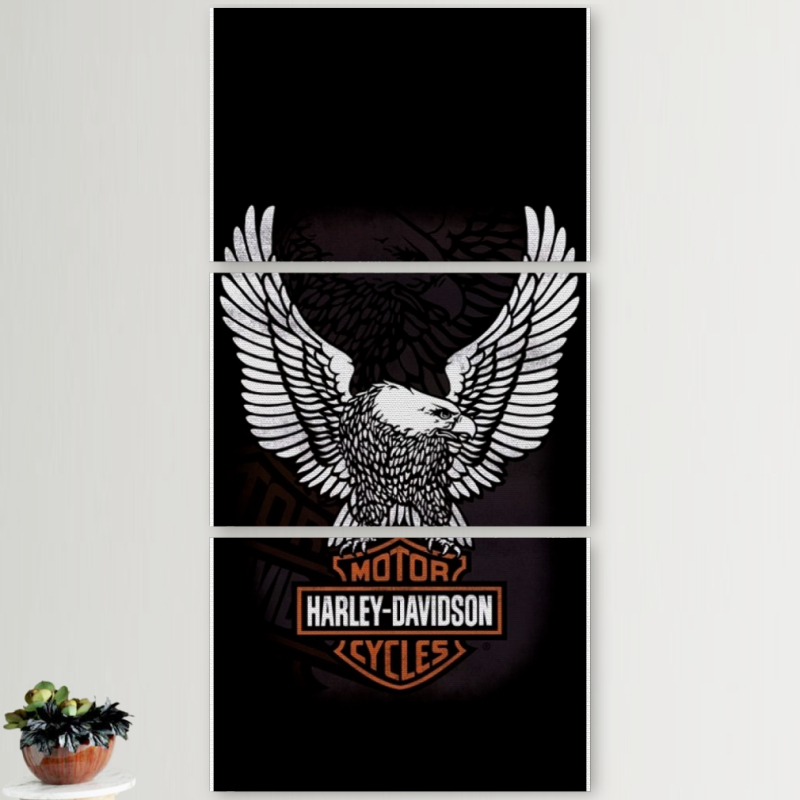 Модульные картины горизонтальные  60 на 40 3шт Harley Davidson and eagle