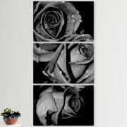 Модульные картины горизонтальные  60 на 40 3шт Black and White Roses