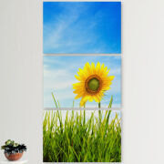 Модульные картины горизонтальные  60 на 40 3шт Sunflower Heaven