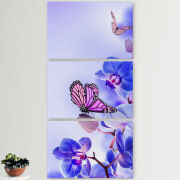 Модульные картины горизонтальные  60 на 40 3шт Orchids and Butterflies