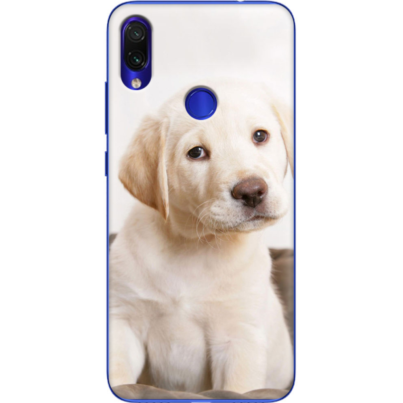 Чехол Uprint Xiaomi Redmi Note 7 Puppy Labrador